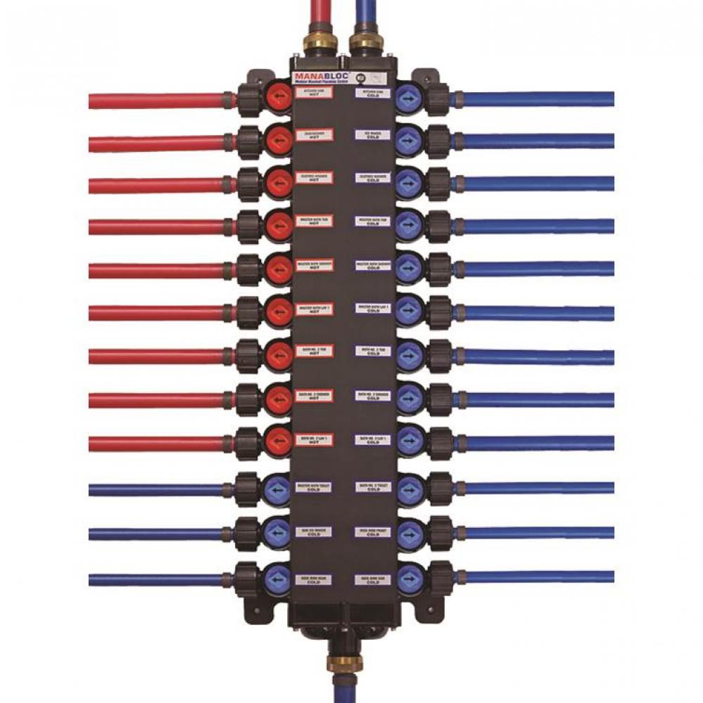 ManaBloc distribution manifold