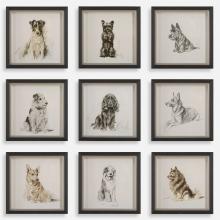 Uttermost 32344 - Uttermost Loyal Companion Framed Dog Prints, S/9