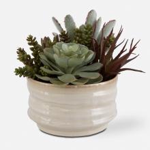 Uttermost 60209 - Uttermost Mesa Succulent Accent