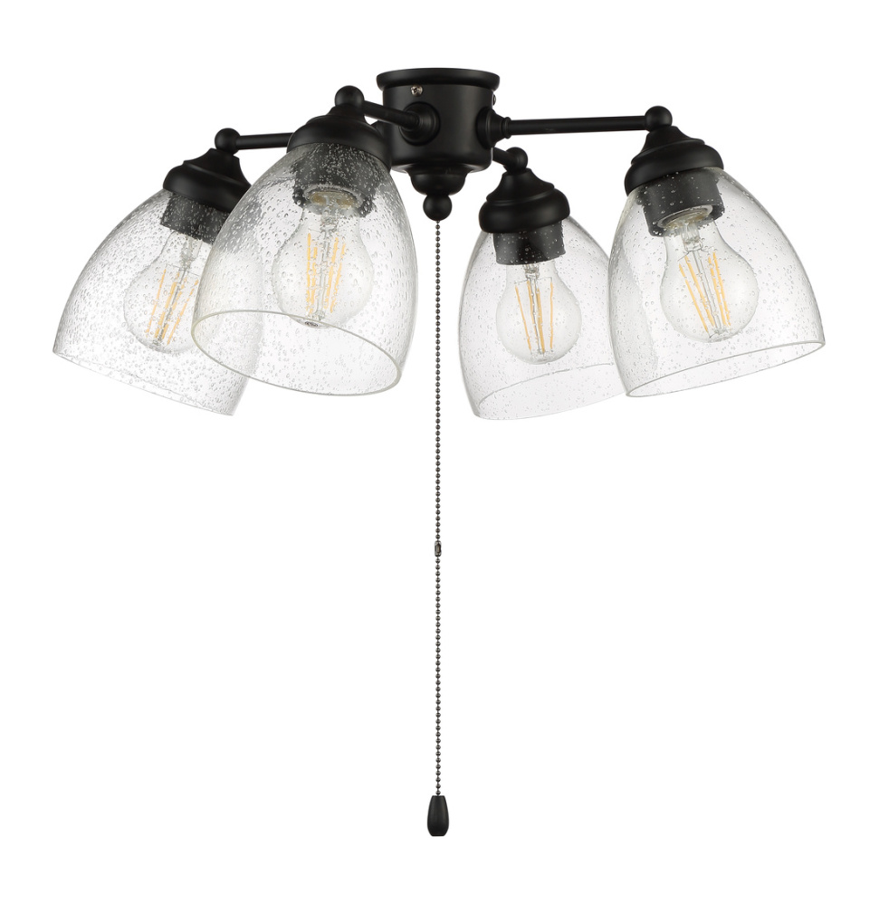 4 Light with Clear Seeded Glass w/4x7w LED