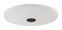 Craftmade WXLLK-AG-LED - Wellington XL White Frost, w/13w LED