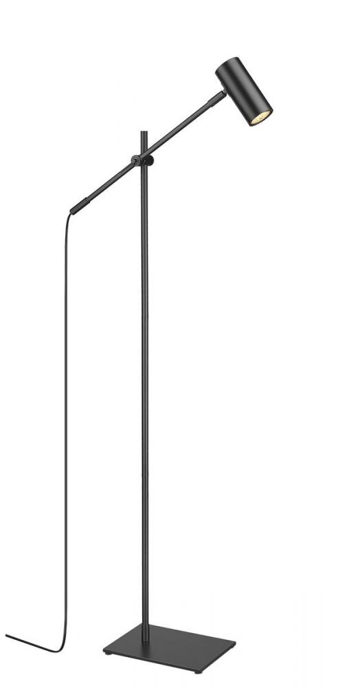 1 Light Floor Lamp