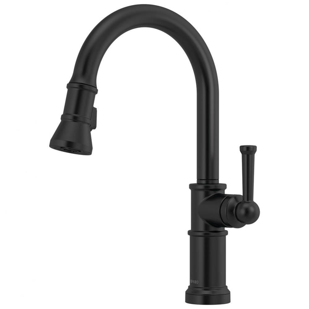 Artesso&#xae; Single Handle Pull-Down Kitchen Faucet