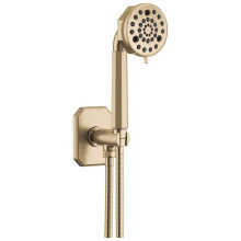 Brizo 88865-GL - Beauclere™ Multi-Function Wall Mount Hand Shower