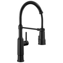 Delta Faucet 18804Z-BL-DST - Theodora™ Single-Handle Pull-Down Spring Kitchen Faucet