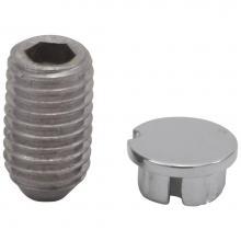 Delta Faucet RP51019SS - Pivotal™ Set Screw & Button