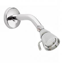 Moen 12894 - Chrome showerhead