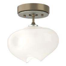 Hubbardton Forge 121372-SKT-84-85-FD0710 - Ume 1-Light Semi-Flush