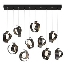 Hubbardton Forge 131208-SKT-STND-14-GG0711 - Riza 10-Light Pendant