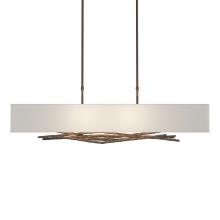 Hubbardton Forge 137660-SKT-LONG-05-SJ4298 - Brindille Pendant