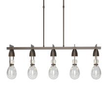 Hubbardton Forge 137810-SKT-LONG-05-ZM0572 - Apothecary Pendant