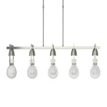 Hubbardton Forge 137810-SKT-LONG-85-ZM0572 - Apothecary Pendant