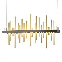 Hubbardton Forge 139725-LED-STND-14-86 - Cityscape LED Pendant