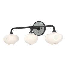 Hubbardton Forge 201342-SKT-10-82-FD0710 - Ume 3-Light Curved Arm Bath Sconce