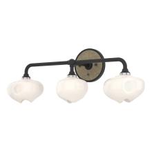 Hubbardton Forge 201342-SKT-10-84-FD0710 - Ume 3-Light Curved Arm Bath Sconce