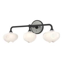 Hubbardton Forge 201342-SKT-10-85-FD0710 - Ume 3-Light Curved Arm Bath Sconce