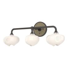 Hubbardton Forge 201342-SKT-14-84-FD0710 - Ume 3-Light Curved Arm Bath Sconce