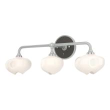 Hubbardton Forge 201342-SKT-82-14-FD0710 - Ume 3-Light Curved Arm Bath Sconce