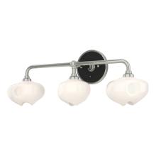 Hubbardton Forge 201342-SKT-85-10-FD0710 - Ume 3-Light Curved Arm Bath Sconce