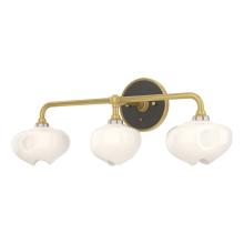 Hubbardton Forge 201342-SKT-86-14-FD0710 - Ume 3-Light Curved Arm Bath Sconce