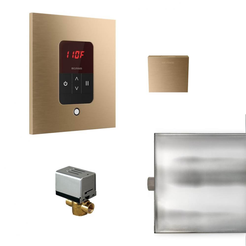 Basic Butler Steam Shower Control Package with iTempo Control and Aroma Designer SteamHead in Squa