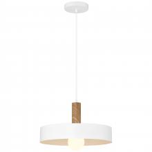 Access 23798-WH/WGN - 1 Light Pendant