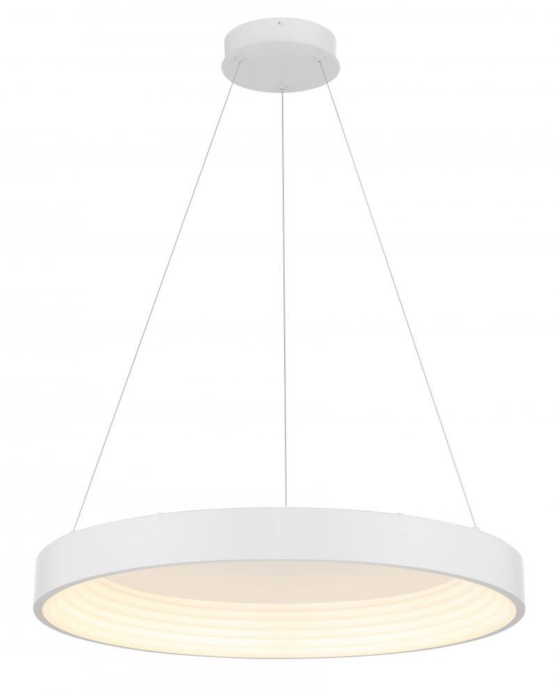 CONC - LED 24&#34; PENDANT